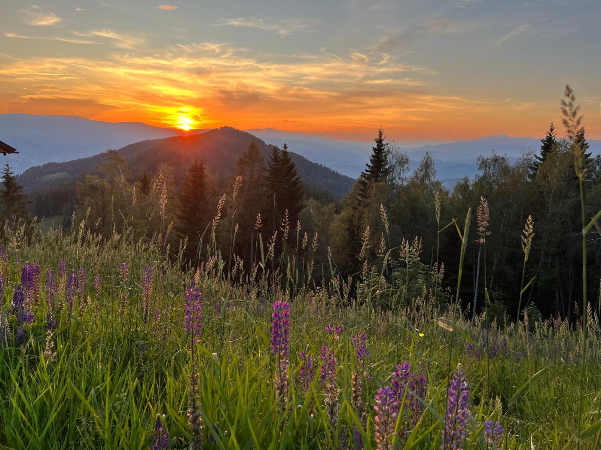 Feriendorf Koralpe Alpenrose Frantschach Exterior foto